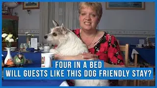 Staying In A Dog Friendly Bed And Breakfast Without A Dog?!