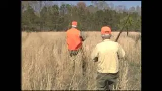 Bird Hunting with Jim 