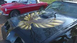 UK Car Culture | The Spur of Slindon Meet