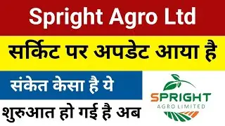 सर्किट पर अपडेट आया है Spright Agro Share Latest News | Spright Agro Share | Spright Agro