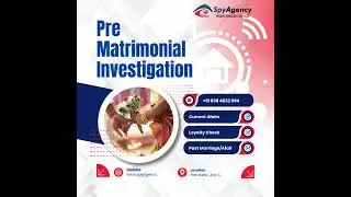 Pre Matrimonial Investigation
