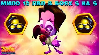 ФЛАМИНГО МИЛО 12 ЛВЛ В КОМАНДНЫХ БОЯХ 5 НА 5 В ИГРЕ ZOOBA: Free for all