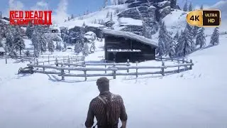 Adler Ranch Walk in the Snow – Red Dead Redemption 2 (PS5 4K)