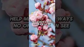 A Quiet Prayer for Unseen Growth | Christian Breath Prayer