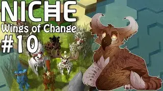 A New Paradise! | Niche: Wings of Change #10