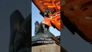 Tool - The Grudge ( intro ) Live in Japan 2025