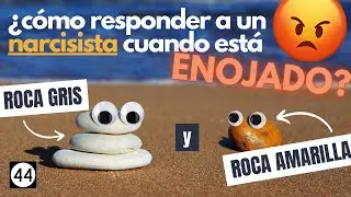 ¿Cómo responder a un Narcisista cuando está enojado?.. Roca Gris y roca Amarilla