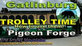Don't Be Afraid of the Trolleys! A Guide to the Trolleys in the Smoky Mountains