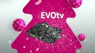 EVOtv Mix paket &ndash; Sadržaj za cijelu obitelj