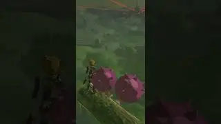 🎈 Hot air balloon ride 🥰 Breath of the Wild #botw #zelda #shorts #thelegendofzelda