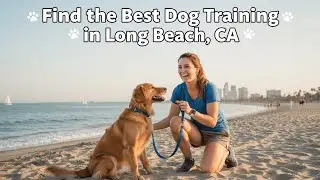 Find the Best Dog Training in Long Beach California