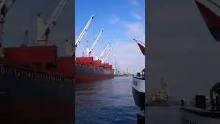 Rostrum Europe! A super big sea boat! Only for Shipping lovers👩&zwj;🔧😁