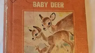 Read With Me! Baby Deer