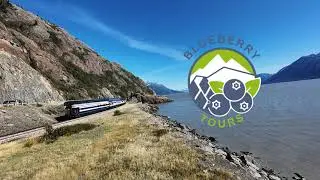 Beluga Whales Return to Turnagain Arm, Alaska