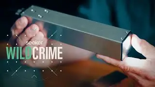 This New AI Forensic Tool is Fighting Illegal Logging