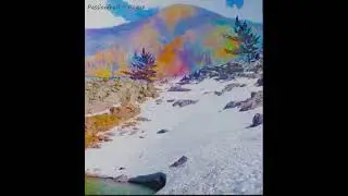 Passionfruit - Rogue