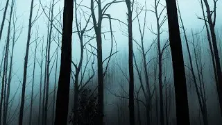 EPIC ACTION INTENSE TRAILER MUSIC | COPYRIGHT ROYALTY FREE