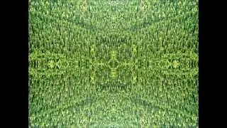 Esion God - Jibberwocky