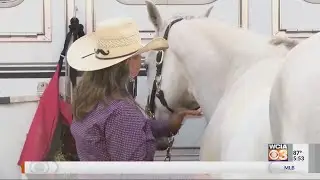 Central Illinois siblings take on Piatt County rodeo