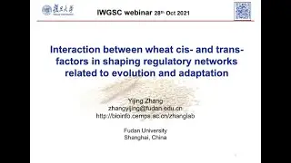 Interaction between wheat cis  and trans factors in shaping regulatory networks