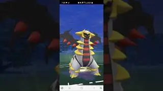 Silph factions, bout 3 NA's Open Cycle!
