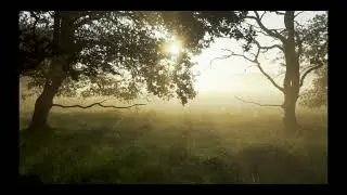 vol 4 - 4K Piano Relaxing Music Video - Nature Sleep Music, Calm Music, Study Music, Spa Music