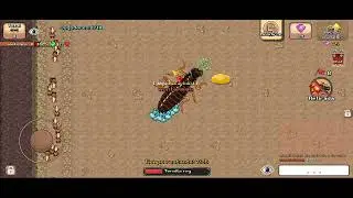 SOLO EN REYES TERMITA POCKET ANTS !!
