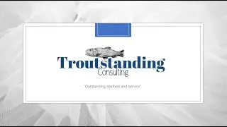 Company 3   Troutstanding Consulting -  Consultant 3: Katie
