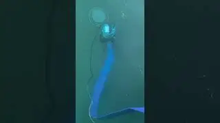 Draining A Pool With High CYA Step By Step