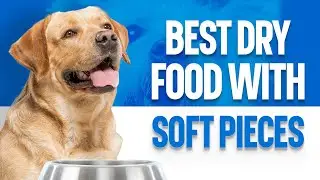 Best Dry Dog Food With Soft Pieces