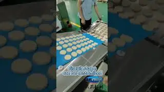 How to make biscuit? Tray Type Soft Biscuit Making Machine Small Scale Rotary Moukder  #machine