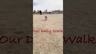 Our Daily Walk, 2021 12 12, Opened Up, Rob Barbato