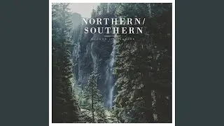Northern Woods