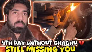 Trying to Move On 💔 | 4th Day After Chachu | vlog#245 