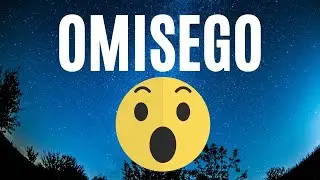 WHAT IS OMISEGO? OMG FUNDAMENTAL ANALYSIS