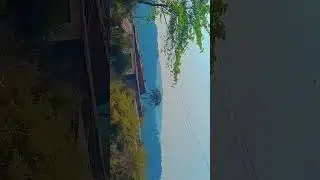 my new vlog amazing video Jungle Vibes