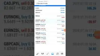 Black Lion Trading System 1 Month Results