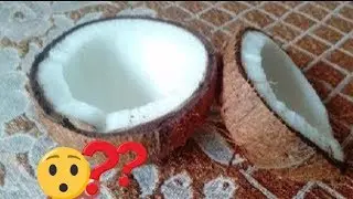 How to store coconut for a long time 👍👍 | upto a month | Emmanuel Tutorials
