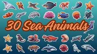 Meet 30 Amazing Sea Animals 🌊🐢 | Fun Learning for Kids