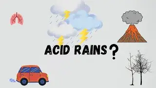 What is acid rain | causes| side effects|. Acid rains - Lets visualize
