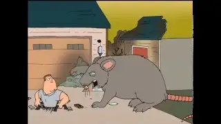 Family Guy - 