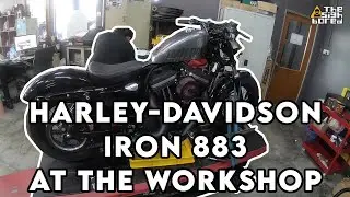 Harley Davidson Iron 883 | Workshop 1 | Full service