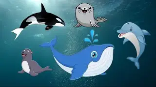 Animals Sounds, Marine Animals: Whale, Dolphin, Killer Whale, Seal...