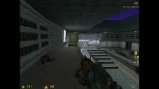 HL1DM segment