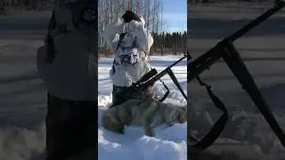 Coyote Howling Tutorial. #coyotehunt #reeseoutdoors #tactacam #fts #solohunter
