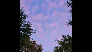 COLDROSES - FROM HERE