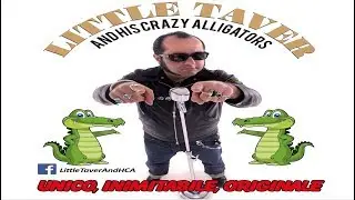 Little Taver and His Crazy Alligators - DragonStock - Dragoncello ( MN )- 8 luglio 2017