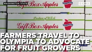 Washington Tree Fruit Association highlights challenges in agriculture at Olympia
