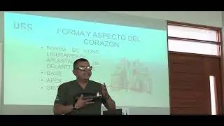 Anatomía II Teoría-Sistema Cardiovascular I