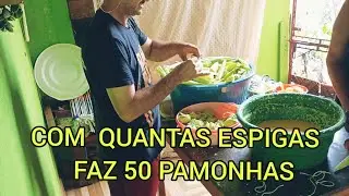 COM QUANTAS ESPIGAS DE MILHO FAZ 50 PAMONHAS ?.
